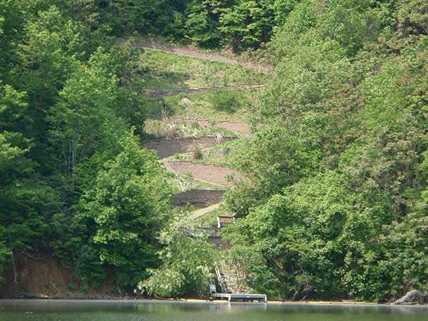 Shoreline Dock