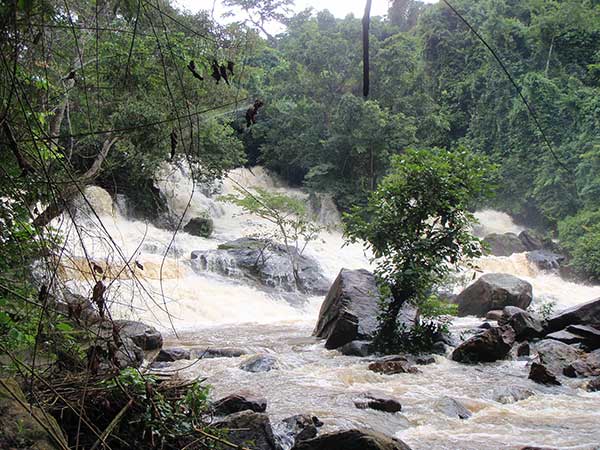 Lower Kpatawee Falls, Liberia 